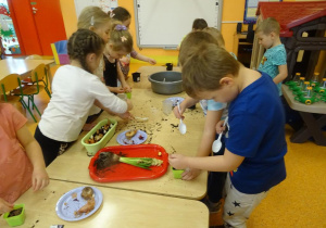 Dzieci sadzą cebulki w doniczkach, nasypują ziemie do doniczek.